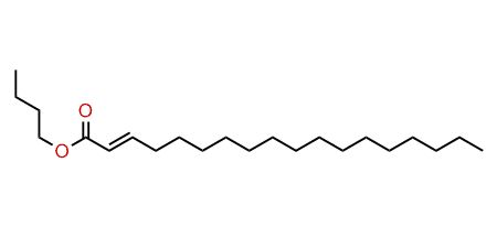 Butyl octadecenoate
